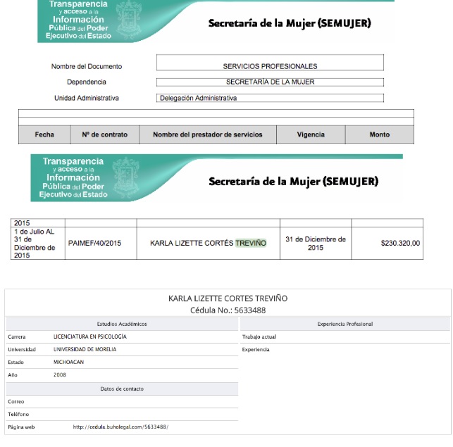 arturo montiel matrimonio moreliana 2