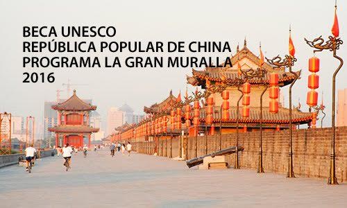 beca china umsnh