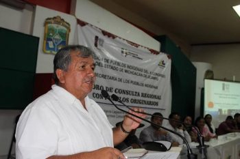 cedillo diputado del congreso del estado michoacan