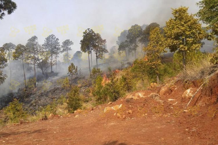 incendio-pico-de-tancitaro