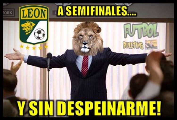 monarcas leon meme 5