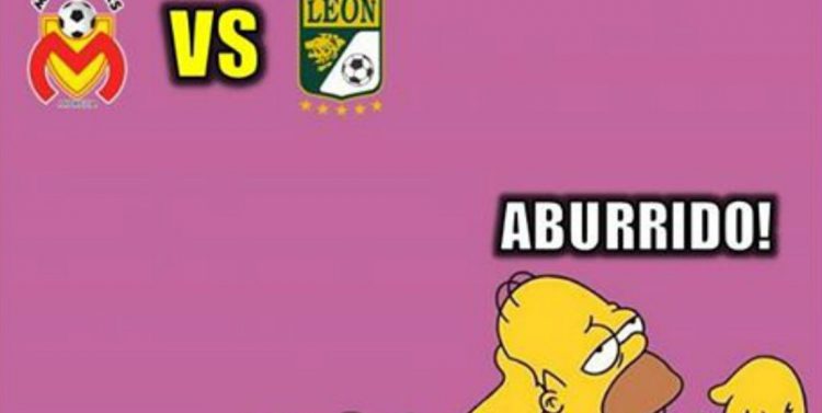 morelia leon aburrido 2