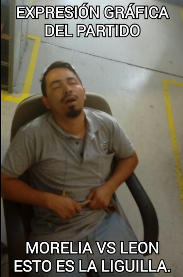 morelia leon aburrido 7