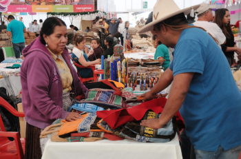 pabellon de municipios expo fiesta michoacan 2016