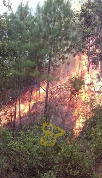 tancitaro incendio b vuena 2
