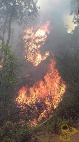 tancitaro incendio b vuena