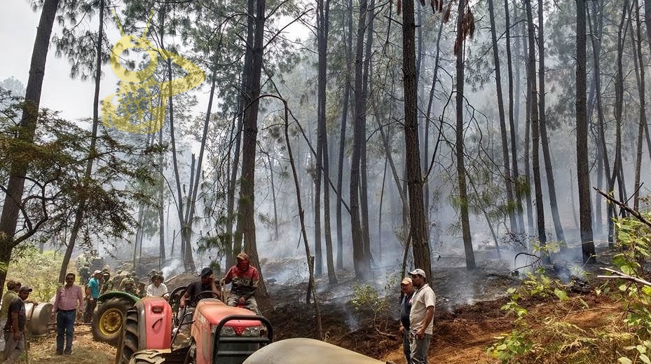 tancitaro incendio buena 2