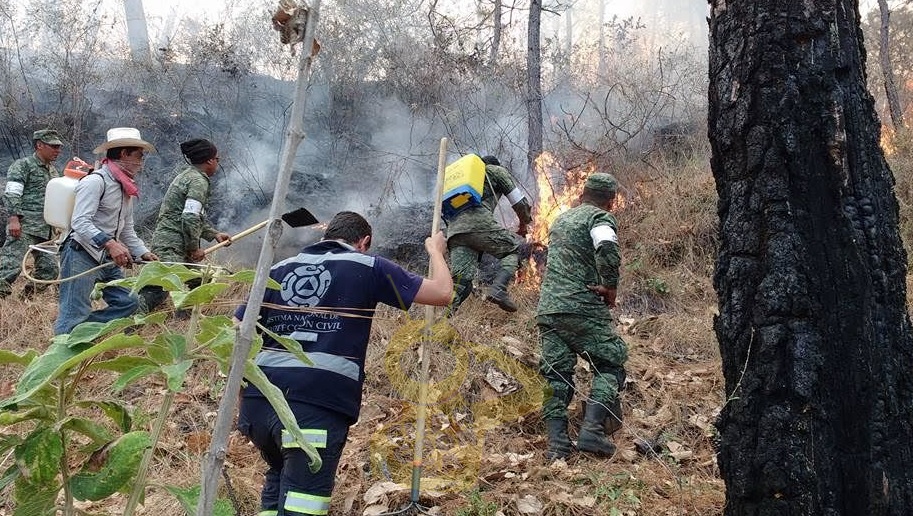 tancitaro incendio buena 3