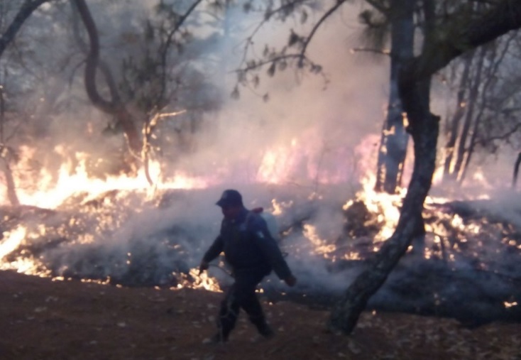 tancitaro incendio
