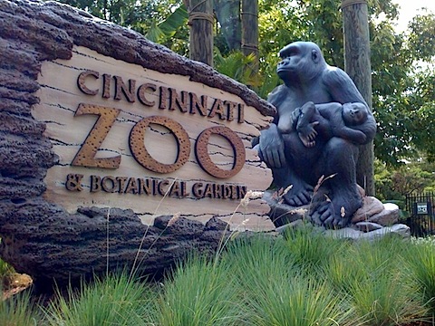 zoologico cincinatti