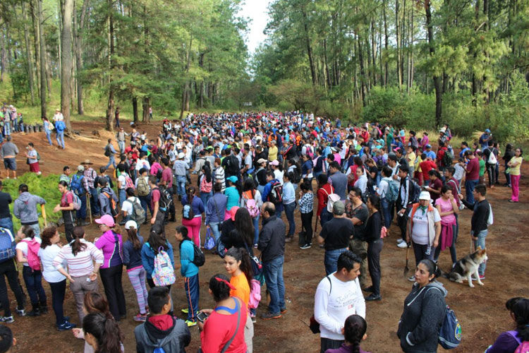 Cerro-de-la-Cruz-Uruapan-reforestacion