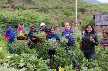 DIF-Morelia-Supervisa-Huerto-Comunitario-En-Aracurio-1