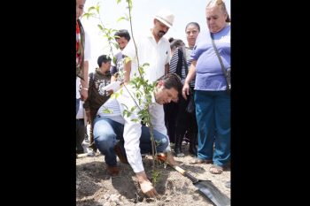 El-Ayuntamiento-De-Morelia-Emprenderá-Programa-De-Reforestación-2016