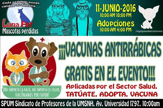 Este sábado feria de Adopción canina y felina-2