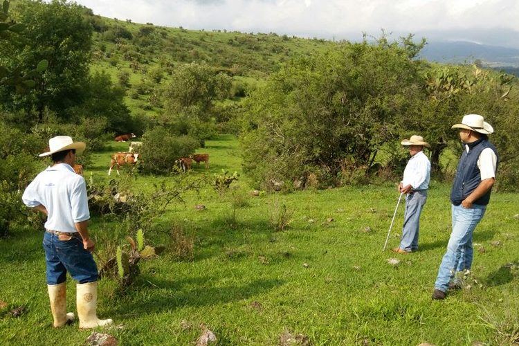 Gobierno-Municipal-Promueve-La-Sanidad-Y-Prevención-Animal--2