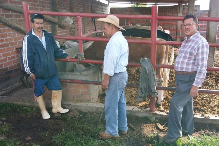Gobierno-Municipal-Promueve-La-Sanidad-Y-Prevención-Animal--3