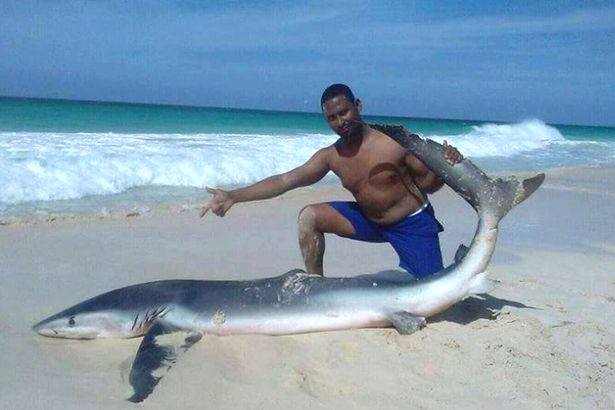 Republica Dominicana-matan a tiburon para foto-