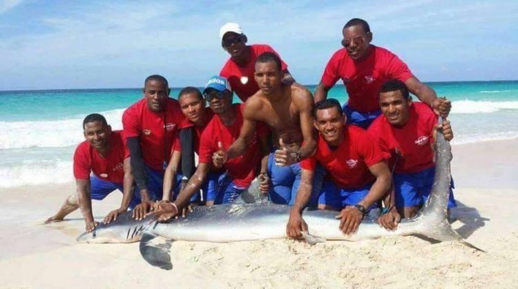 Republica Dominicana-matan a tiburon para foto-