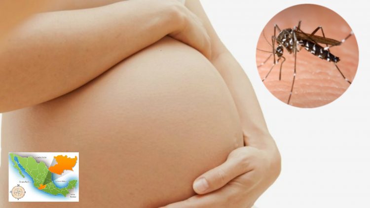 Zika mujeres embarazadas en México 2016