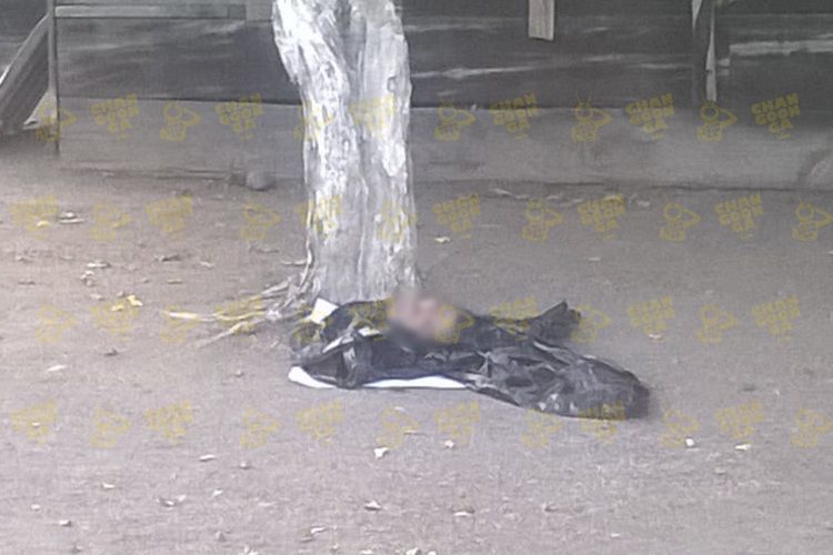 hallan-cabeza-humana-nueva-italia