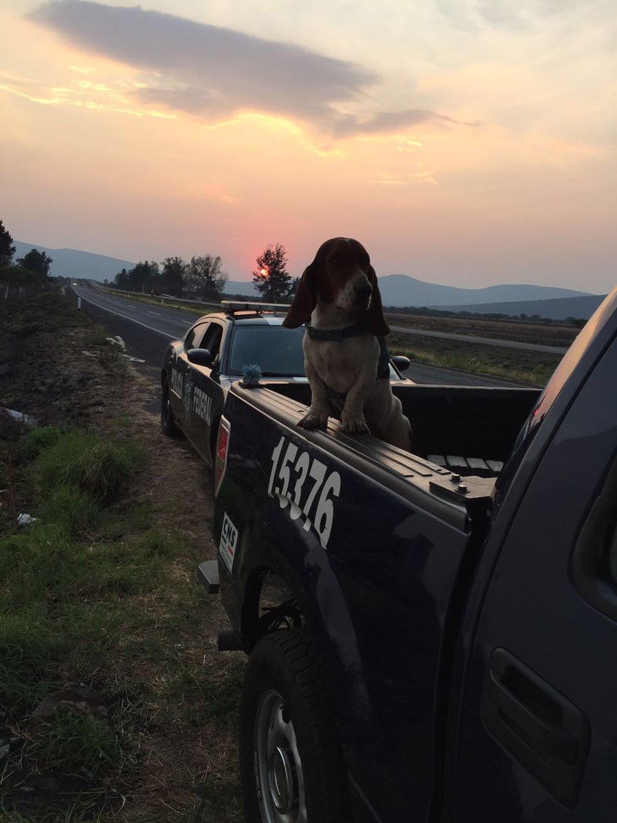 lucas perrito