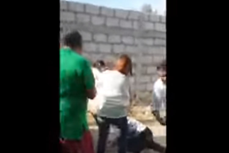 pelea pan pri