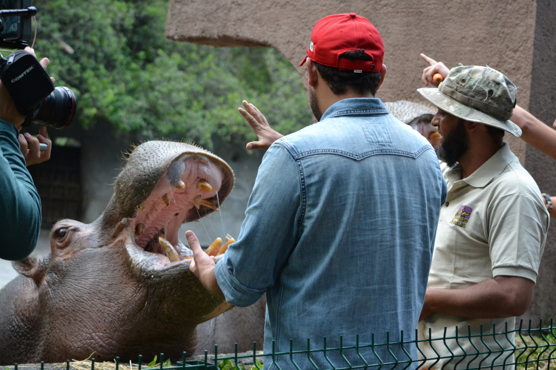 Difundirá Discovery Channel El Trabajo Del Zoológico De Morelia