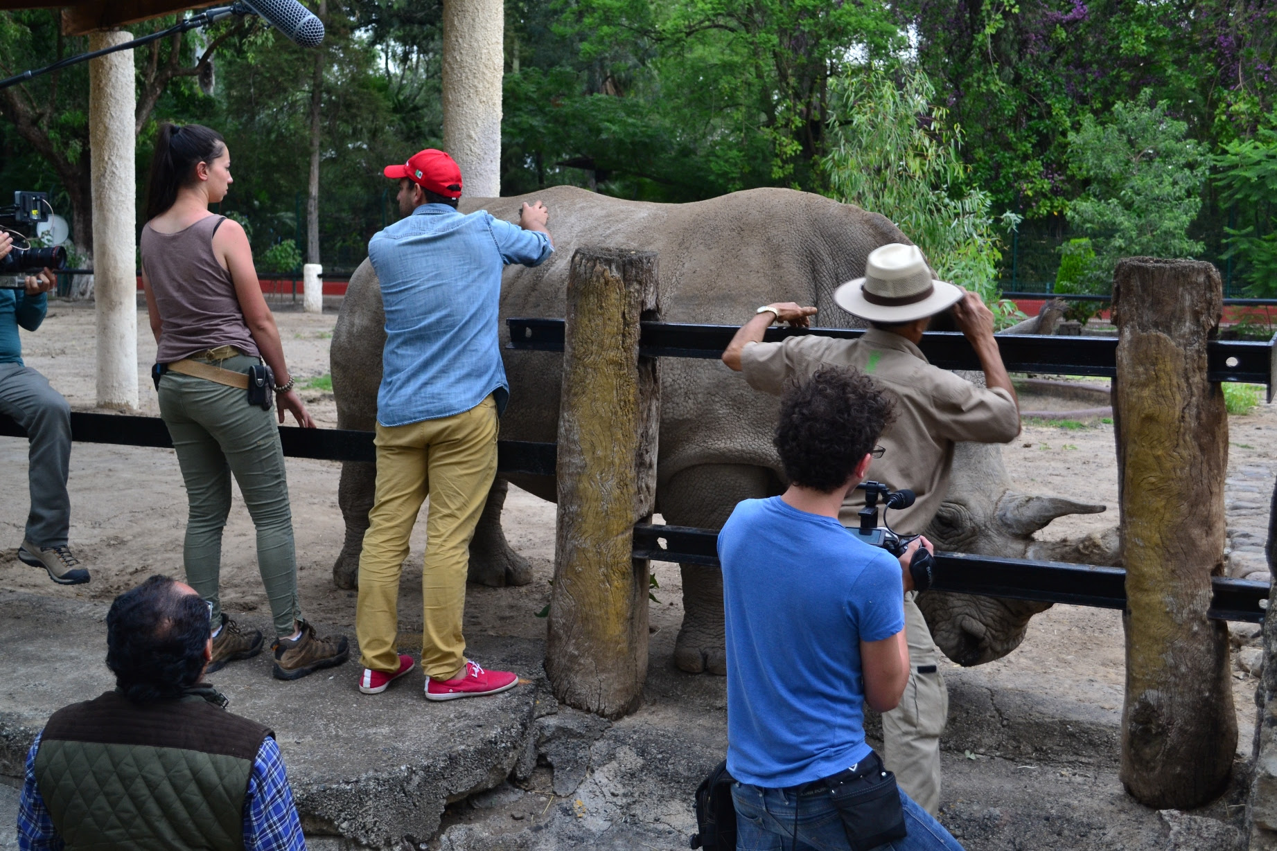 Difundirá Discovery Channel El Trabajo Del Zoológico De Morelia
