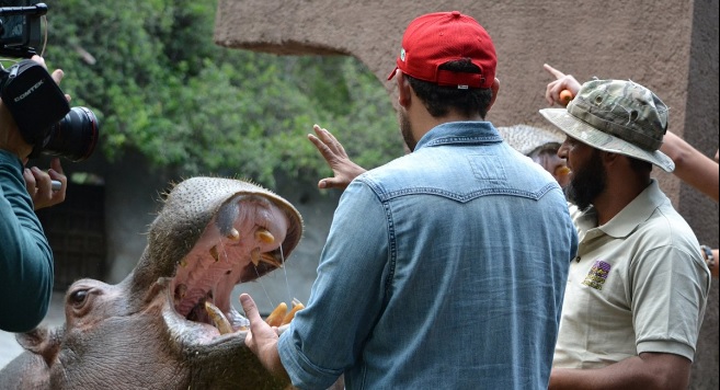 zoologico discovery 2