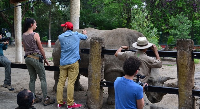 zoologico discovery 3