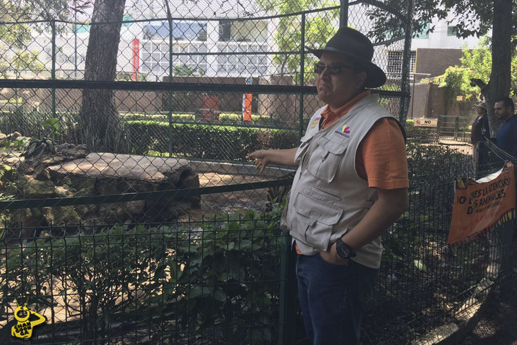 Alejandro-Tellez-Zoologico-de-Morelia