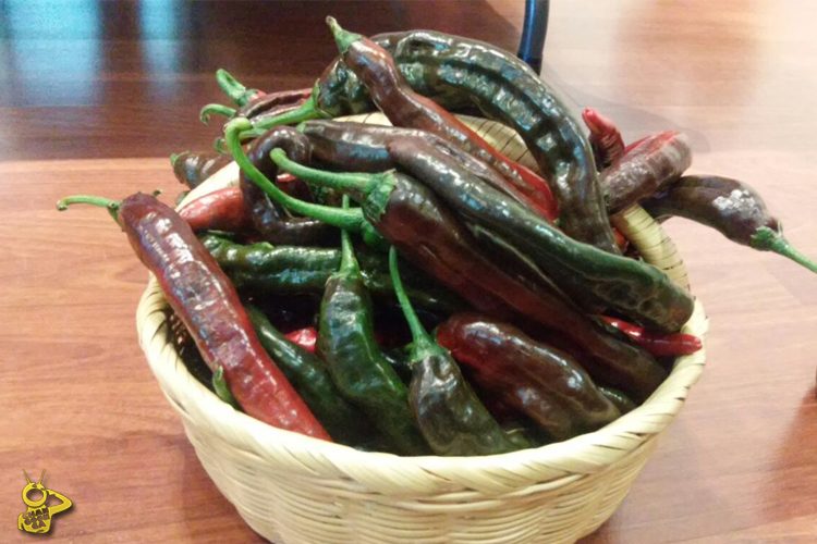 Feria-Del-Chile-En-Queréndaro