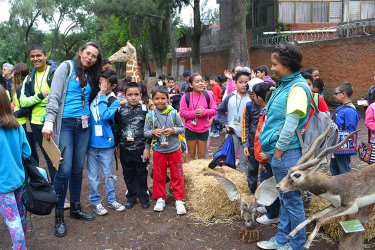 Inician-Cursos-De-Verano-Para-Chavitos-En-El-Zoológico-De-Morelia-3