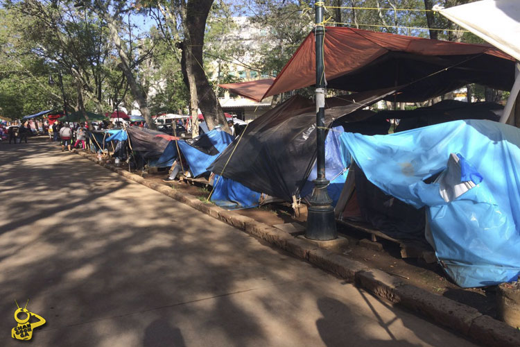 casa-de-campaña-Hospital-Infantil-Morelia-familias