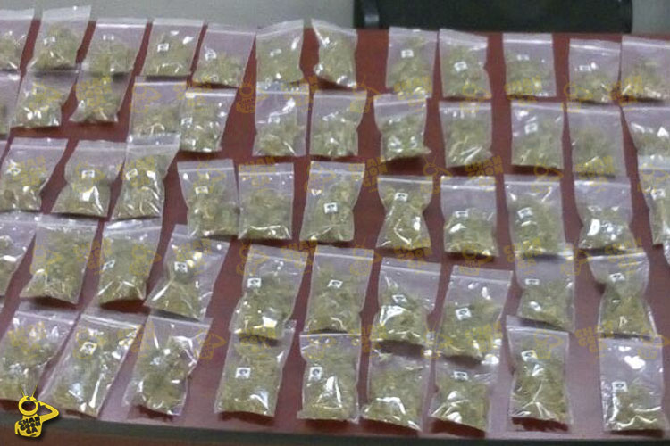 droga-mota-marihuana-decomisada