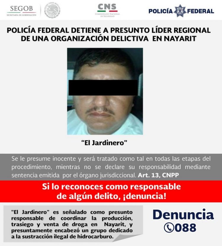 el jardinero cjng