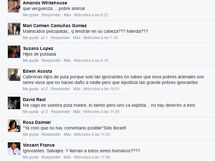 monumental de morelia novillo 2