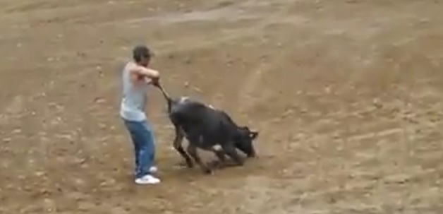 monumental de morelia novillo 3