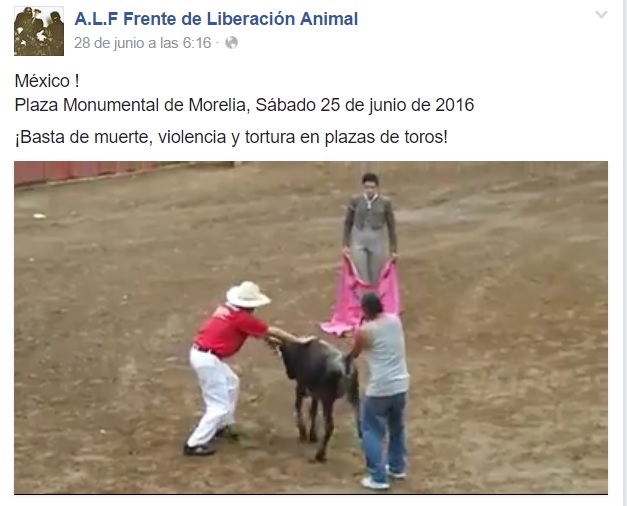 monumental de morelia novillo 5