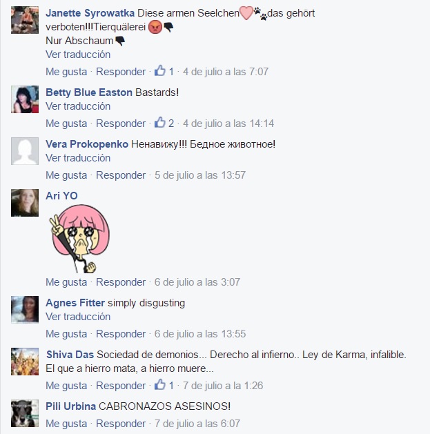 monumental de morelia novillo 6