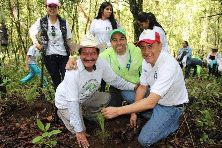 sigala reforestación