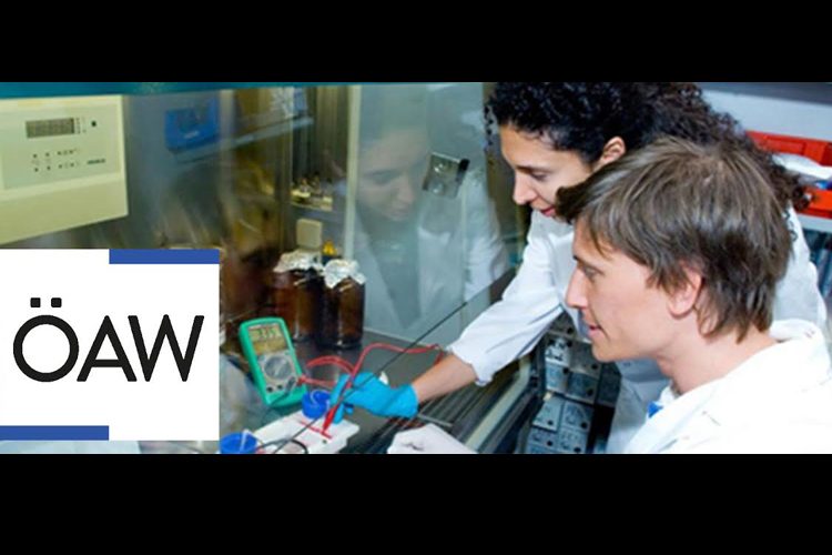 ¡Atención¡-UMSNH-Últimos-Días-De-Registro-Para-Programa-De-Becas-En-Austria-2