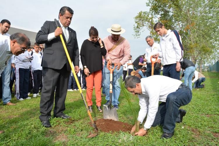 ¡Se Ponen Ecológicos! Plantarán 2 Mil 500 Árboles En C.U