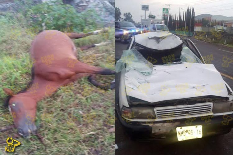 Auto-Mata-A-Caballo-Y-Una-Mujer-Lesionada-Carretera-Morelia-Charo-1