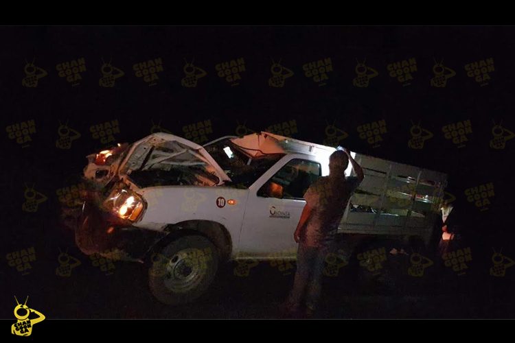 Caballo-Muere-Tras-Chocar-Contra-Una-Camioneta-2