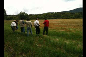 Campo-más-productivo