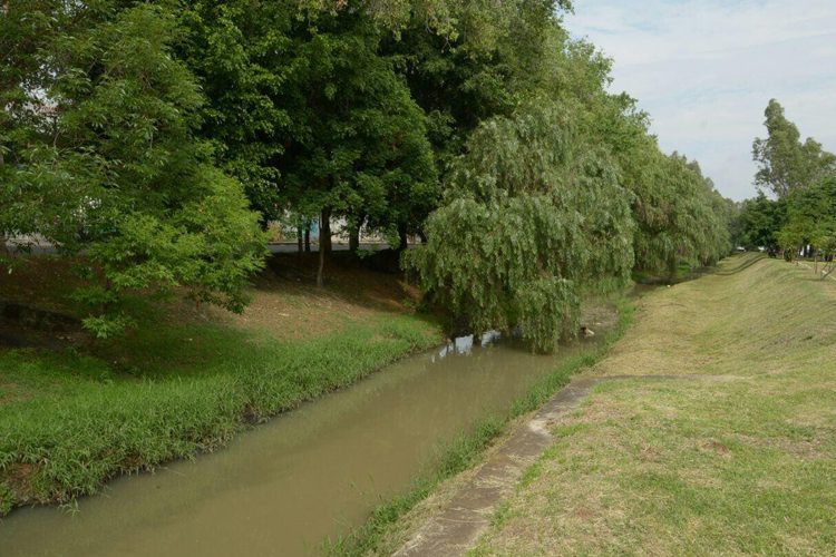 Construcción-Del-Parque-Lineal-Del-Río-Chiquito-1