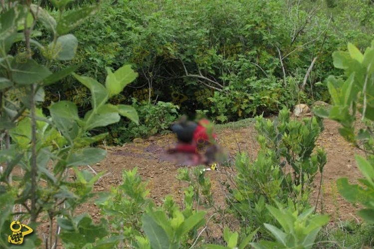 Recolector-de-leña-es-muerto-a-balazo-1