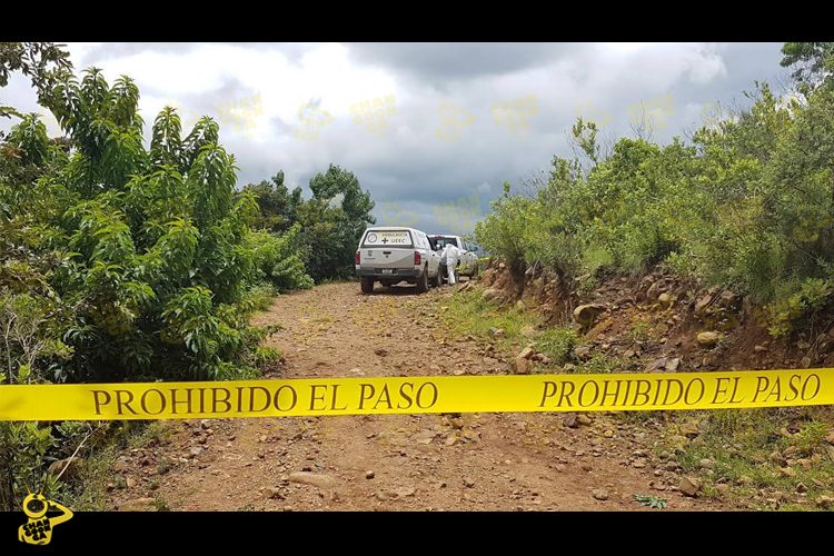 Recolector-de-leña-es-muerto-a-balazo-2