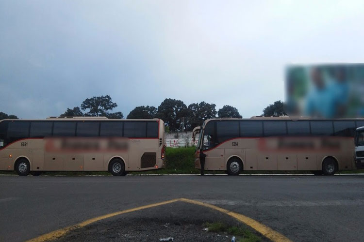 autobuses-liberadaos-Michoacan